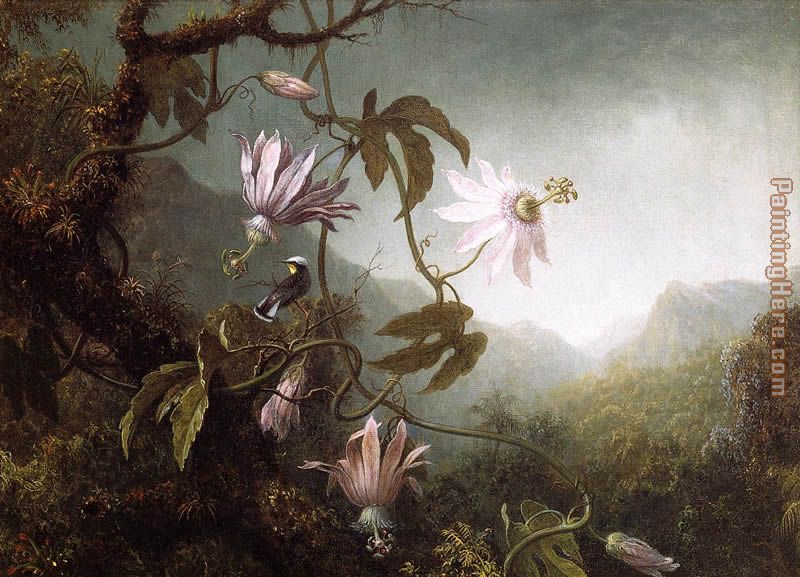 Hummingbird Perched near Passion Flowers painting - Martin Johnson Heade Hummingbird Perched near Passion Flowers art painting